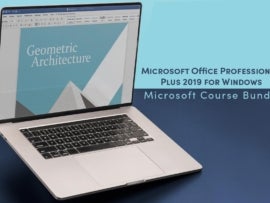 MS Office Professional Plus 2019 for Windows.