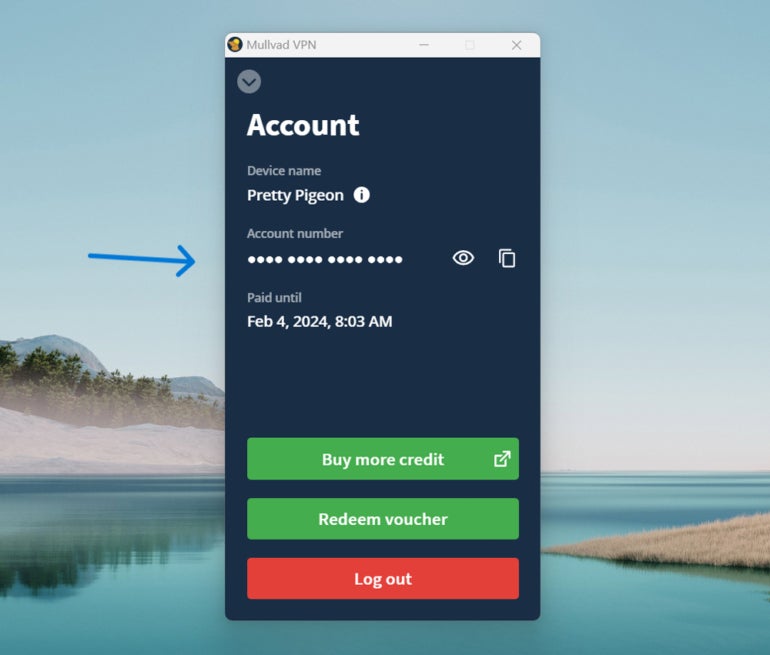 Mullvad account number.